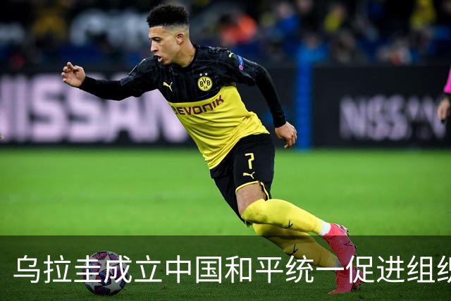 乌拉圭成立中国和平统一促进组织