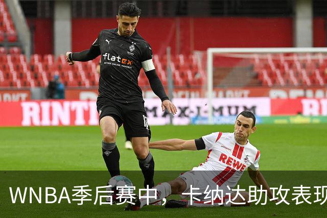 WNBA季后赛中，卡纳达助攻表现出色，与名宿齐名